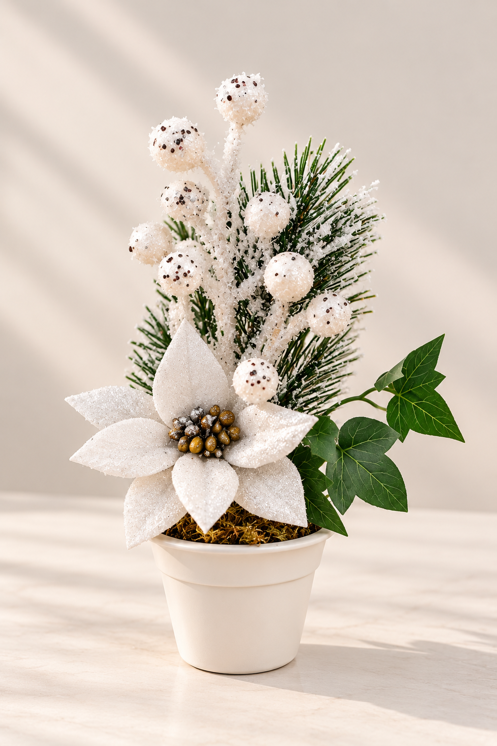 White Potted Pointsetta Plant