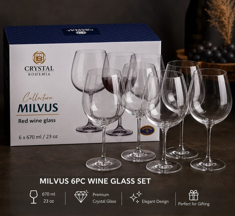 6pc Wine Glass Set (Milvus)