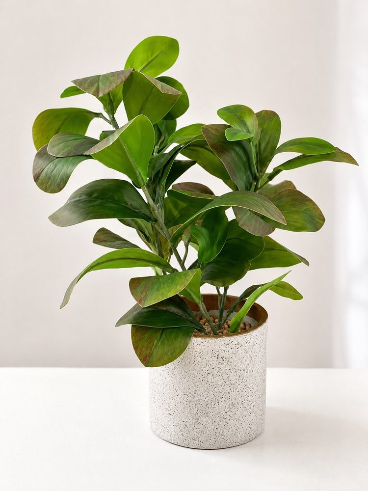 Artificial Plant (13″)