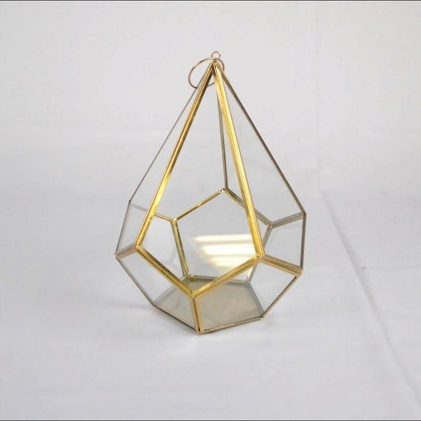 Terrarium (Gold/Clear)